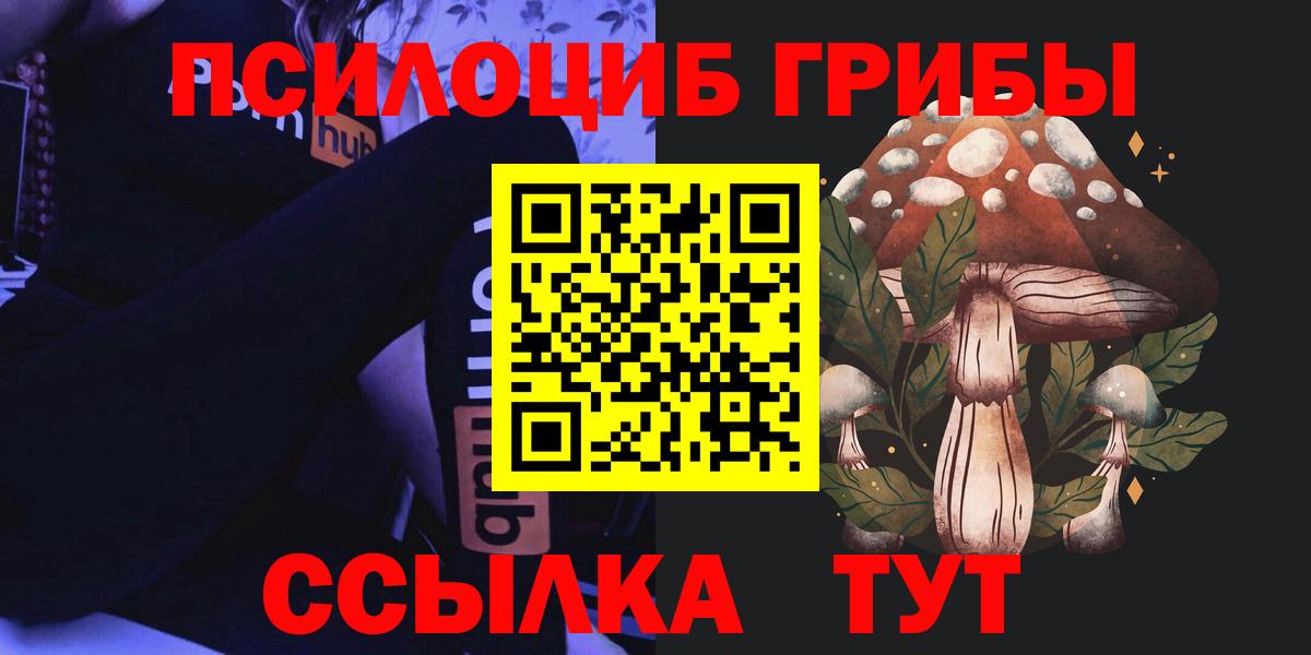 Звенигород  Псилоцибиновые грибы MAGIC MUSHROOMS  Вход с VPN  Галлюциногенные грибы мицелий 